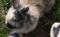 Bild#15(007.jpg)