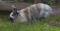 Bild#27(011.jpg)