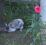 Bild#7(041.jpg)