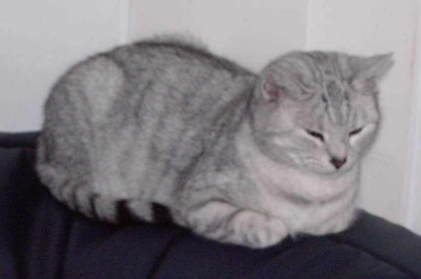 Schliessen von 020.jpg