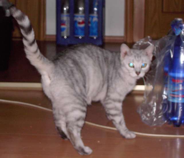 Schliessen von 023.jpg