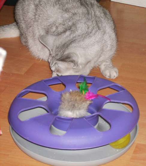 Schliessen von 028.jpg