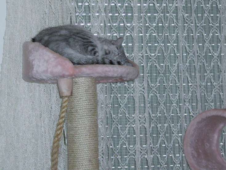 Schliessen von 037.jpg