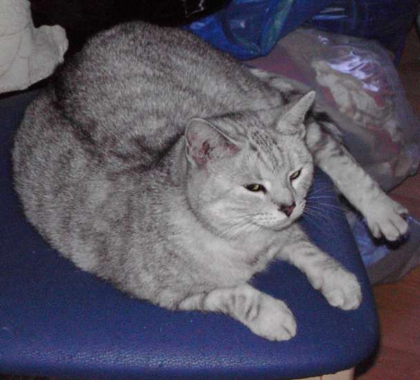 Schliessen von 039.jpg