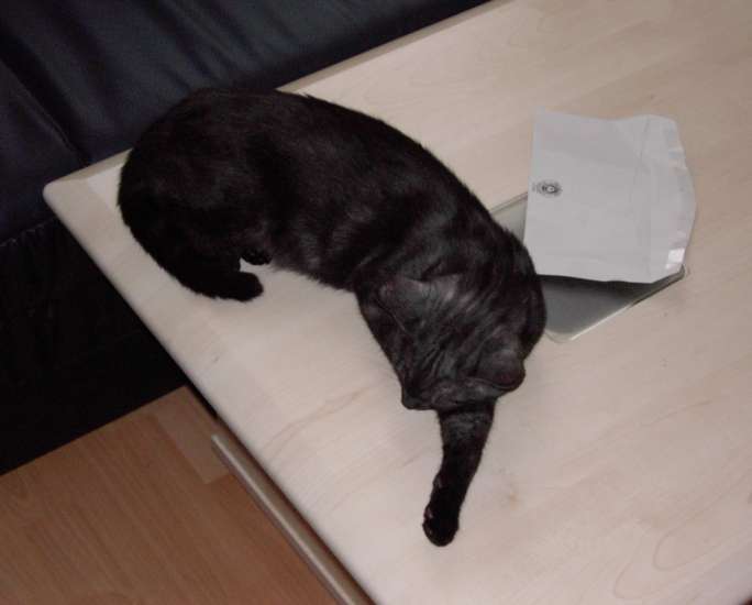 Schliessen von 010..jpg