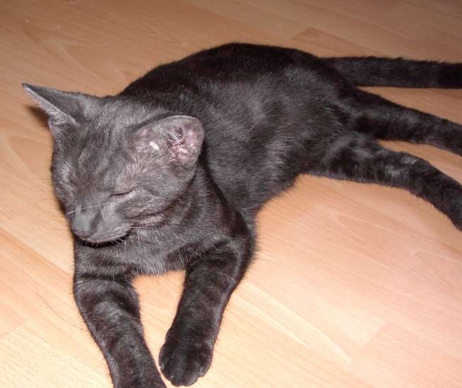 Schliessen von 013..jpg